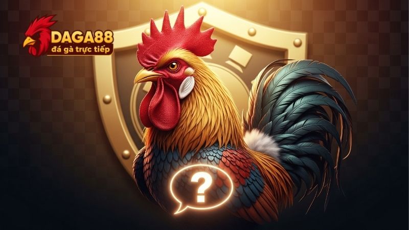 Câu Hỏi Thường Gặp 1 Câu Hỏi Thường Gặp Dag88, Giải Đáp Nhanh Thắc Mắc Người Dùng